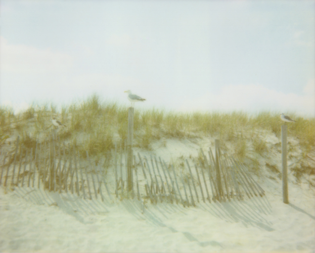 1 2 3 Seagulls - Jena Ardell